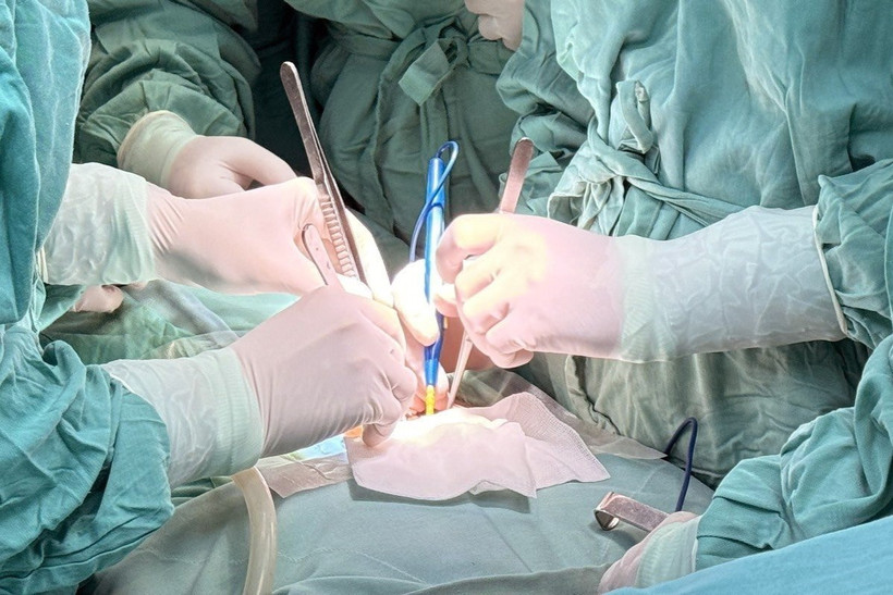 Ảnh minh họa. (Ảnh: TTXVN phát)