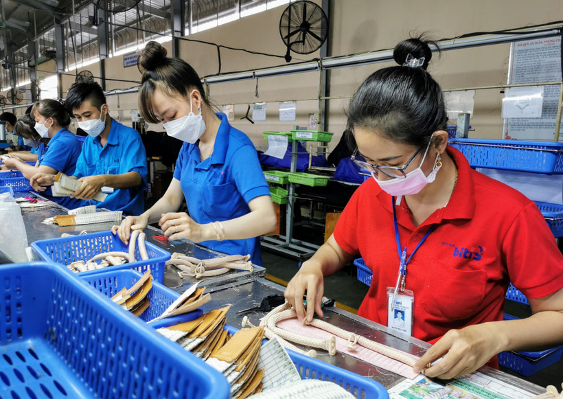 Các doanh nghiệp tại Cần Thơ phục hồi sản xuất sau dịch COVID-19. (Ảnh: Thanh Liêm/TTXVN)