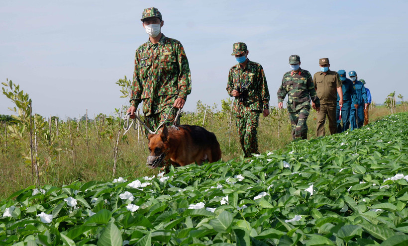 Cán bộ chiến sỹ chốt kiểm soát, phòng chống COVID-19 số 6 - Đồn Biên phòng cửa khẩu quốc tế Vĩnh Xương tuần tra, kiểm soát địa bàn. (Ảnh: Công Mạo/TTXVN)