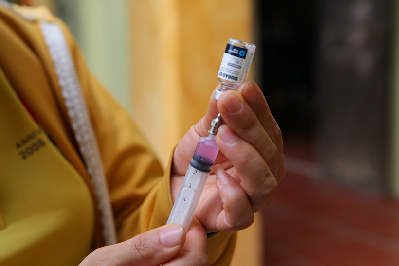 Lấy vaccine phòng bệnh dại chuẩn bị tiêm cho chó, mèo. (Ảnh: Công Luật/TTXVN)