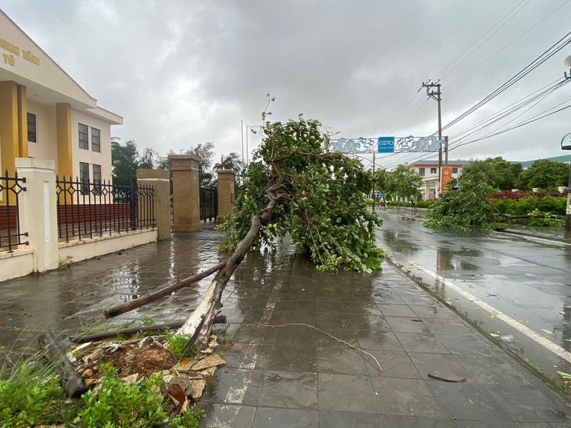 Bão số 2 quật đổ cây tại huyện đảo Cô Tô, Quảng Ninh. (Ảnh: Đức Hiếu/TTXVN)