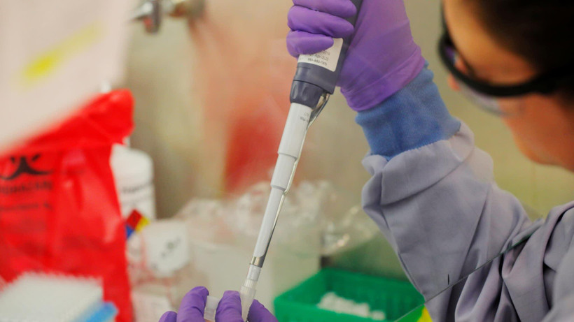 (Nguồn: nikkei.com)