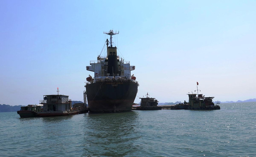 Đội tàu biển đang đứng trước nguy cơ bị mất thị phần do nguồn hàng bị san bớt sang vận tải sông pha biển. (Ảnh: Việt Hùng/Vietnam+)