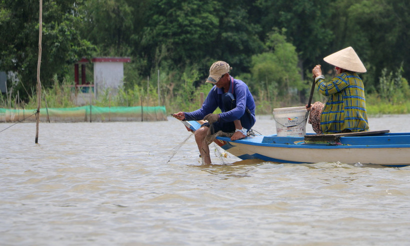 Người dân xã Phú Hội, huyện biên giới An Phú (An Giang), giăng lưới đánh bắt cá trên sông Vĩnh Hội Đông. (Ảnh: Công Mạo/TTXVN)