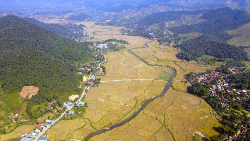 Cánh đồng lúa nếp tan Mường Và, huyện Sốp Cộp. (Ảnh: Hữu Quyết/TTXVN)