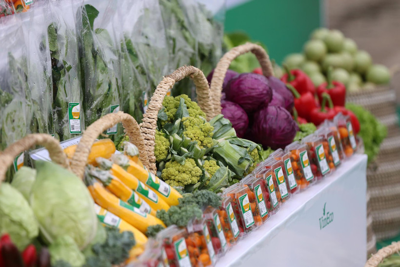 Ảnh minh họa. (Nguồn: Minh Sơn/Vietnam+)