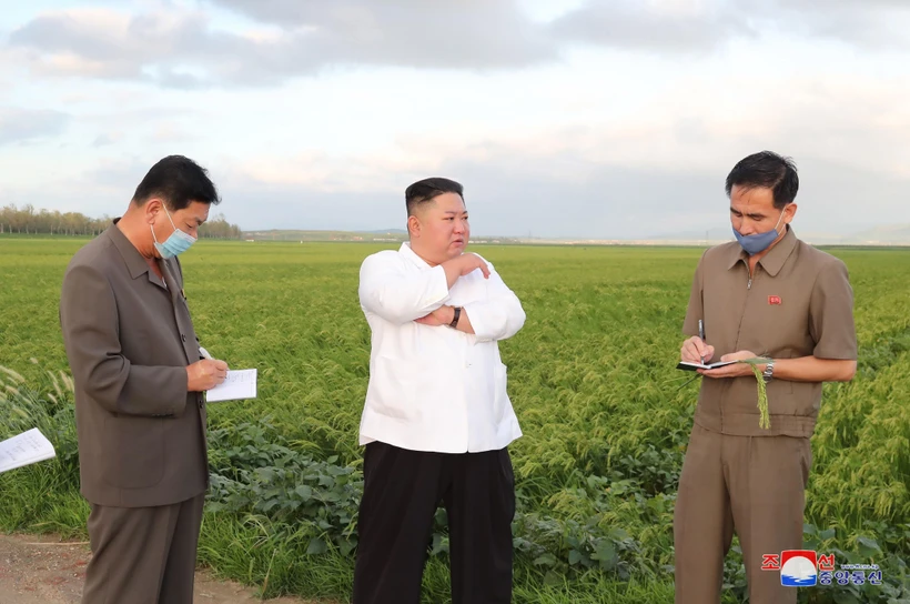 Nhà lãnh đạo Triều Tiên Kim Jong-un (giữa) thăm khu vực bị ảnh hưởng do bão tại tỉnh Nam Hwanghae, Triều Tiên. (Ảnh: Yonhap/TTXVN)