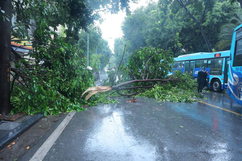 Các phương tiện di chuyển chậm qua đoạn đường trước nhà 25 Quang Trung. (Ảnh: Hoàng Hiếu/TTXVN)
