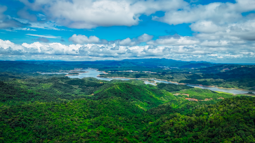Rừng tại Đắk Nông có vai trò phòng hộ đầu nguồn rất quan trọng cho khu vực Tây Nguyên và các tỉnh miền Đông Nam bộ. (Ảnh: Minh Hưng/Vietnam+)