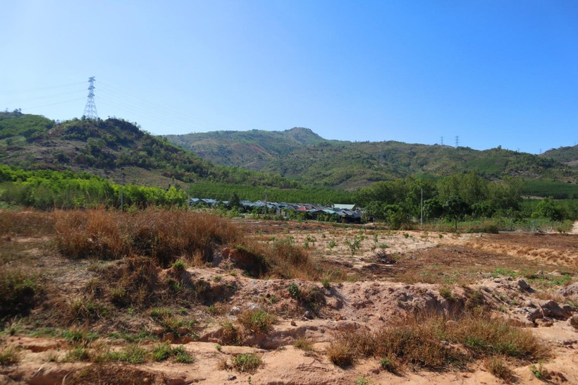 Ảnh minh họa. (Nguồn: Hùng Võ/Vietnam+)