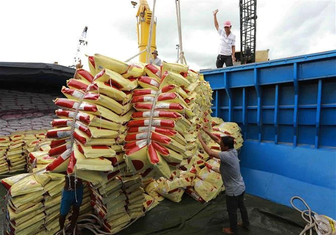 Vận chuyển gạo xuất khẩu của Tập đoàn Lộc Trời tại Tân cảng Thốt Nốt, thành phố Cần Thơ, Việt Nam. (Ảnh: Vũ Sinh/TTXVN