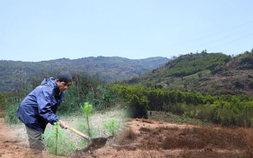 Ảnh minh họa. (Nguồn ảnh: Hùng Võ/Vietnam+)
