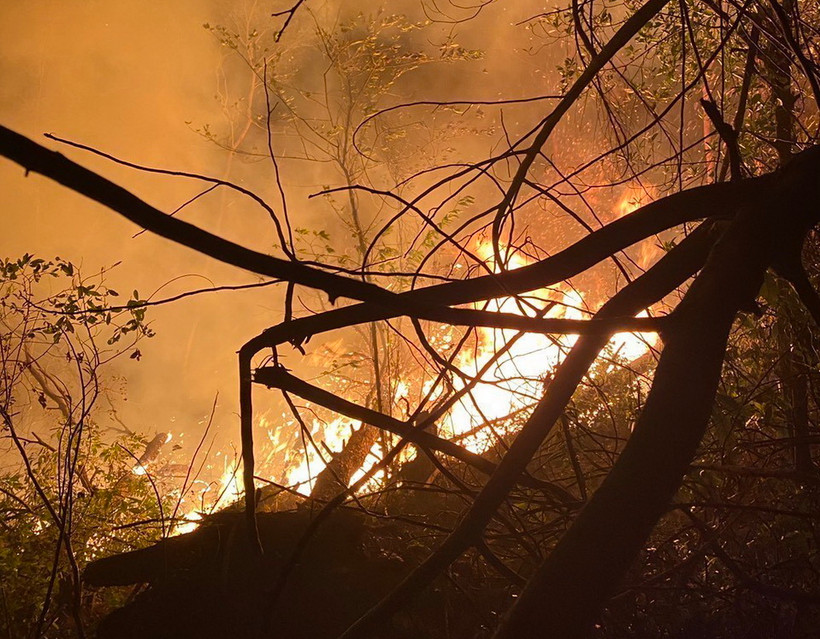 Ngọn lửa đang bùng lên dữ dội do thời tiết hanh khô. (Ảnh: TTXVN phát)