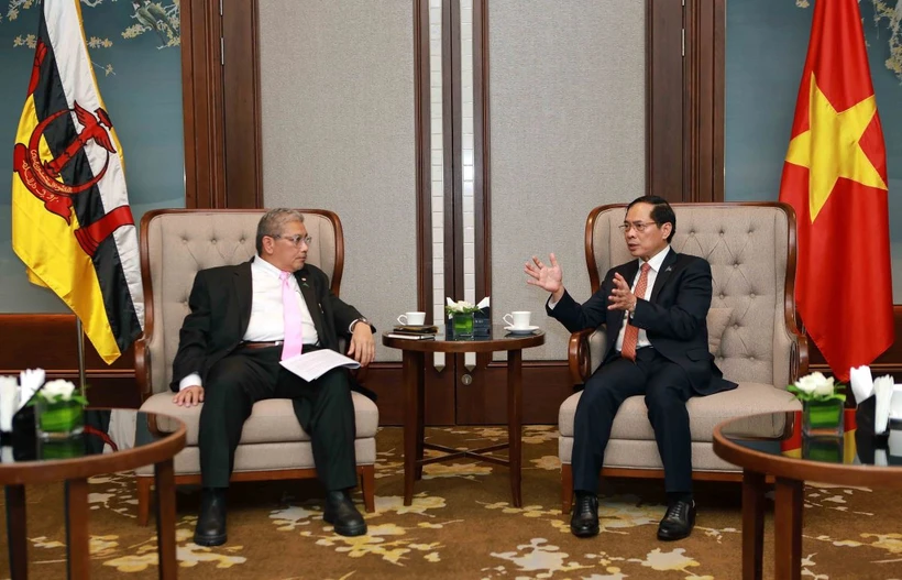 Bộ trưởng Ngoại giao Bùi Thanh Sơn tiếp Bộ trưởng thứ hai Bộ Ngoại giao Brunei Darussalam, ông Dato Erywan Pehin Yusof. (Ảnh: An Đăng/TTXVN)