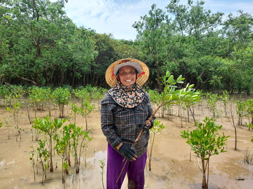 Cô Bùi Thị Dìn ở xã Đa Lộc (huyện Hậu Lộc, tỉnh Thanh Hóa) tự hào khi đã tự tay trồng hàng nghìn cây ngập mặn chắn sóng, chắn bão ven biển. (Ảnh: HV/Vietnam+)