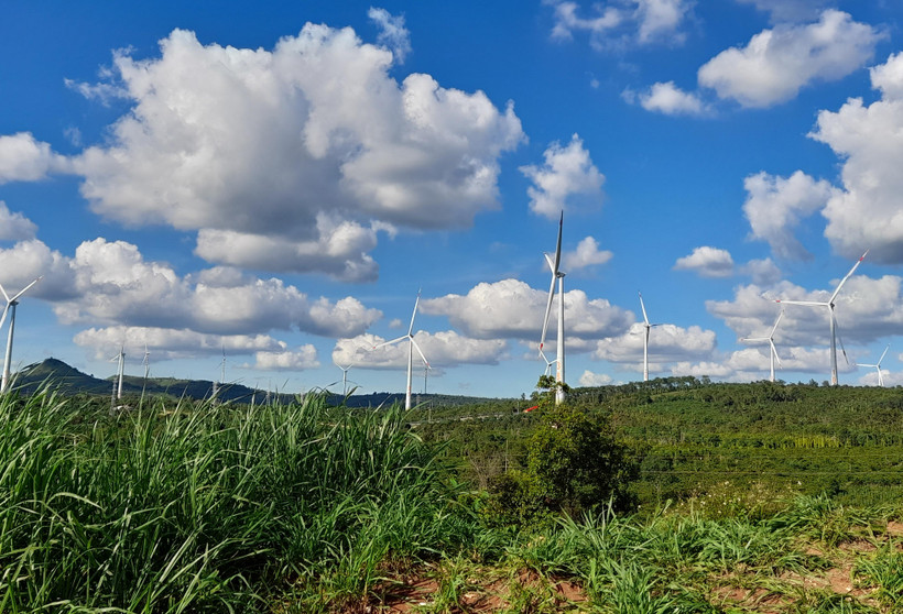 Ảnh minh họa. (Nguồn: Hùng Võ/Vietnam+)
