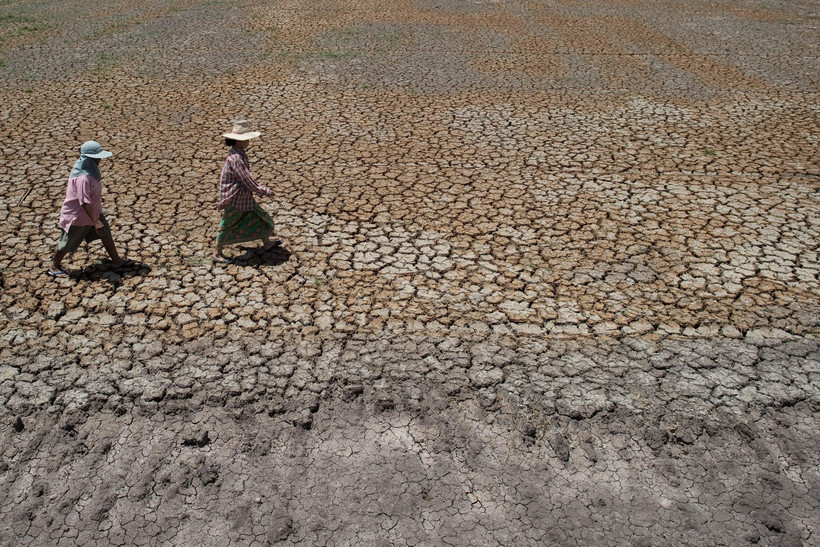 Cảnh khô hạn trên cánh đồng ở Bang Pla Ma, tỉnh Suphanburi, Thái Lan. (Ảnh: AFP/TTXVN)