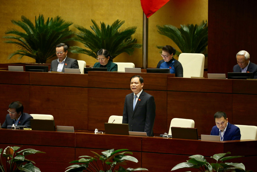 Bộ trưởng Bộ Nông nghiệp & Phát triển nông thôn Nguyễn Xuân Cường trả lời câu hỏi chất vấn của đại biểu Quốc hội. (Ảnh: Dương Giang/TTXVN)