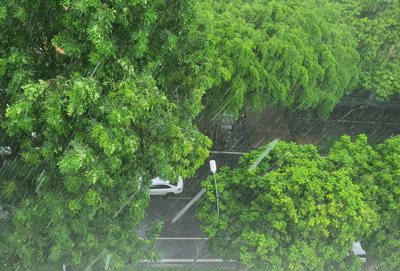 Bắc Bộ có mưa rào và dông trên diện rộng. (Ảnh: Vietnam+)