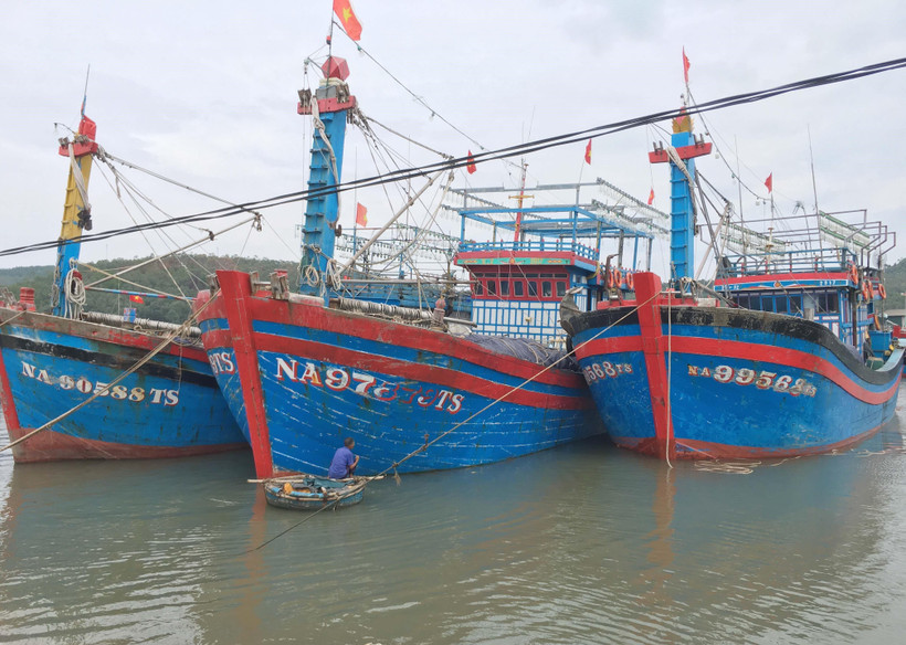 Nhiều tàu thuyền neo đậu an toàn tại cảng cá Lạch Quèn, xã Quỳnh Thuận, huyện Quỳnh Lưu. (Ảnh: Nguyễn Oanh/TTXVN)