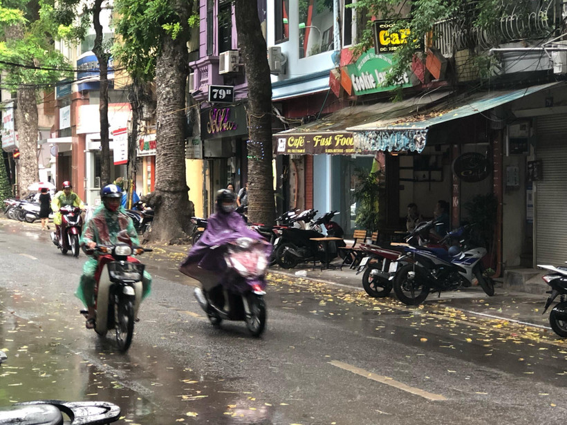 (Ảnh minh họa: Huy Hùng/TTXVN)