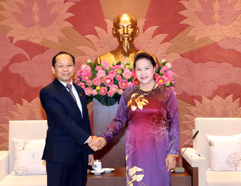Trong ảnh: Chủ tịch Quốc hội Nguyễn Thị Kim Ngân tiếp Đại sứ Đặc mệnh toàn quyền Vương quốc Campuchia tại Việt Nam Chay Navuth đến chào xã giao. (Ảnh: Trọng Đức/TTXVN)