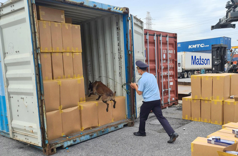 Lực lượng hải quan thực hiện biện pháp nghiệp vụ trong phòng chống buôn lậu. (Ảnh: TTXVN phát)