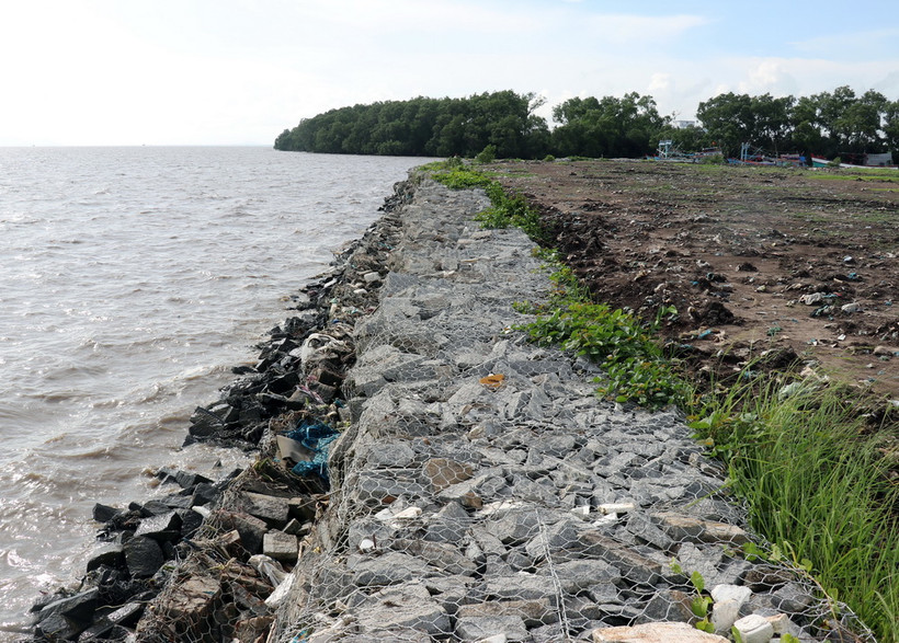 (Ảnh minh họa: Lê Huy Hải/TTXVN)