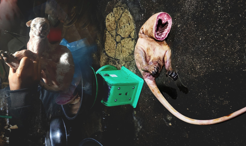 Ảnh minh họa. (Nguồn: PV/Vietnam+)