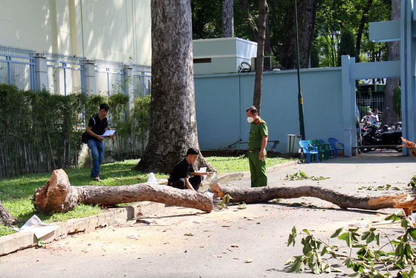 Lực lượng chức năng khám nghiệm hiện trường, điều tra vụ việc. (Ảnh: Tiến Lực/TTXVN)