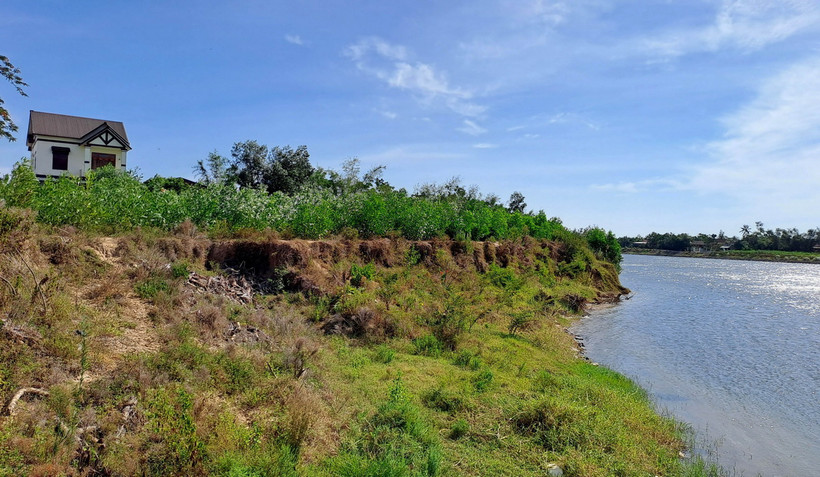 Bờ sông Thạch Hãn bị sạt lở nghiêm trọng lấn sâu vào đất sản xuất của người dân. (Ảnh: Nguyên Lý/TTXVN)