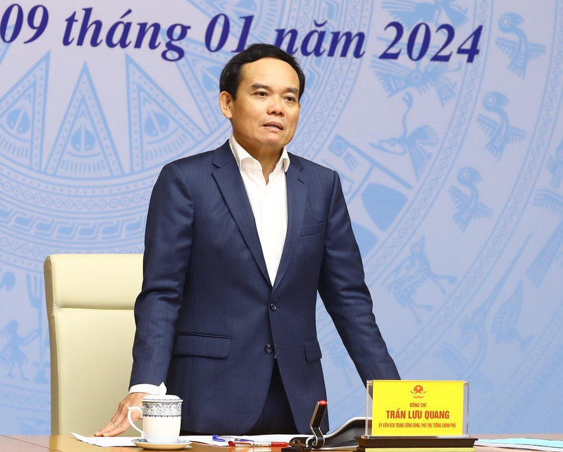 Phó Thủ tướng Trần Lưu Quang. (Ảnh: Lâm Khánh/TTXVN)