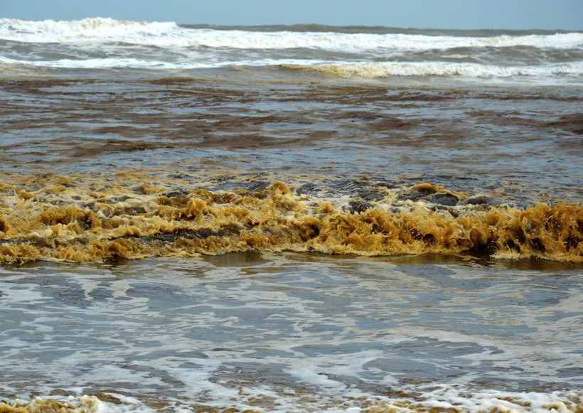 Nước biển có màu xám đen, nổi bọt vàng. (Ảnh: Phước Ngọc/TTXVN)