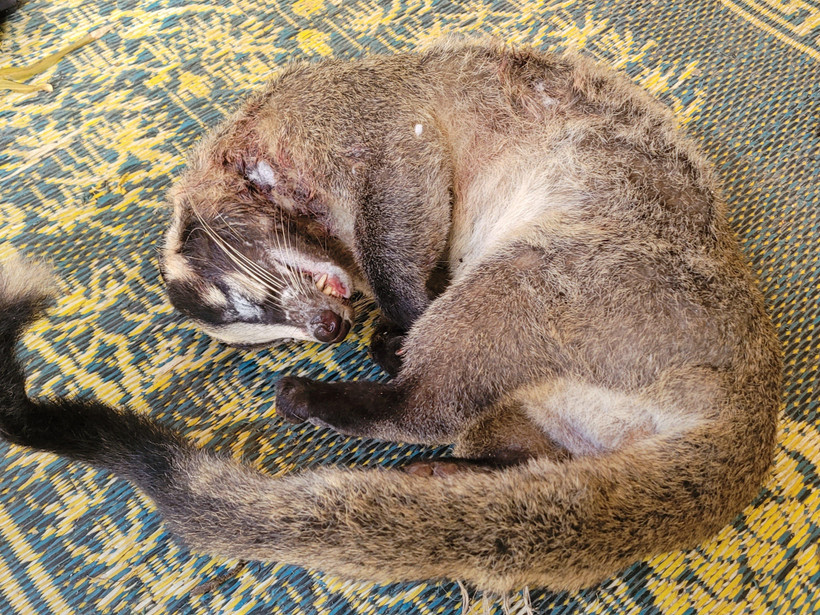 Ảnh minh họa. (Nguồn ảnh: Hùng Võ/Vietnam+)