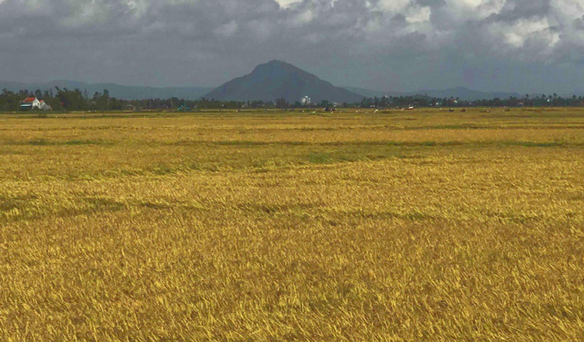 Ảnh minh họa. (Ảnh: Phạm Cường/TTXVN)