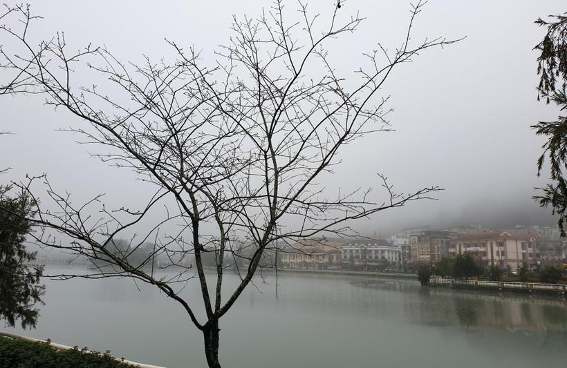 (Ảnh minh họa: Quốc Khánh/TTXVN)