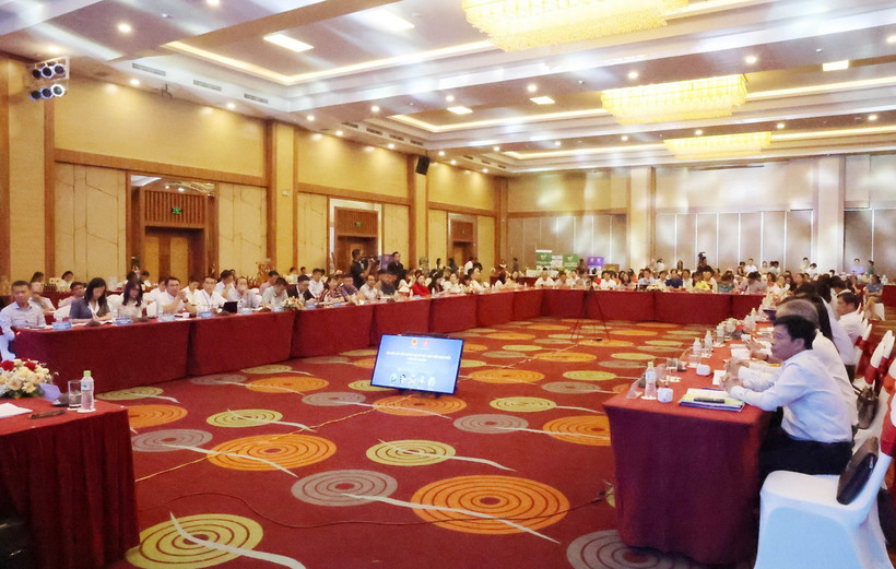 Quang cảnh Hội nghị xúc tiến thương mại và phát triển xuất nhập khẩu vùng Tây Nguyên. (Ảnh: Hoài Thu/TTXVN)