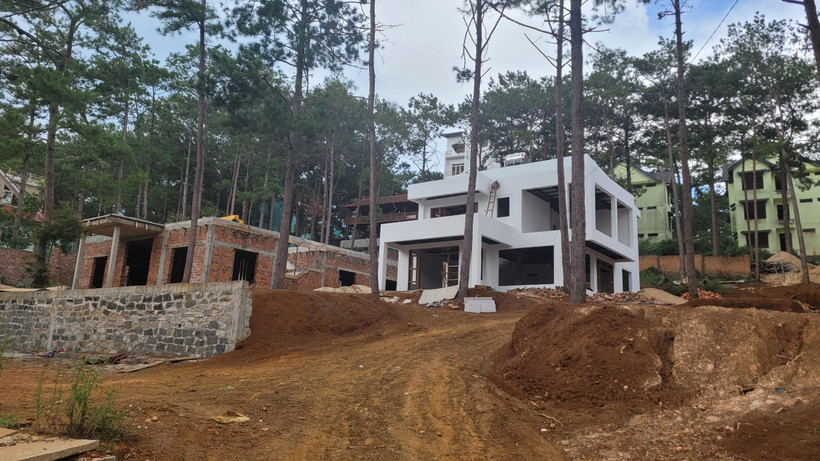 Ảnh minh họa. (Nguồn: Hùng Võ/Vietnam+)