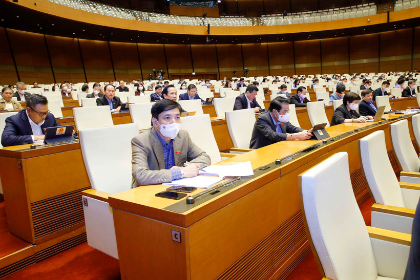 Đại biểu Quốc hội dự phiên họp. (Ảnh: Doãn Tấn/TTXVN)