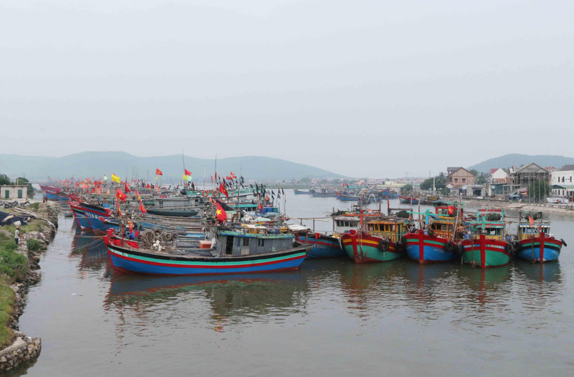 Tàu cá vào bờ trú bão tại phường Quỳnh Phương, thị xã Hoàng Mai, Nghệ An. (Ảnh: Nguyễn Oanh/TTXVN)