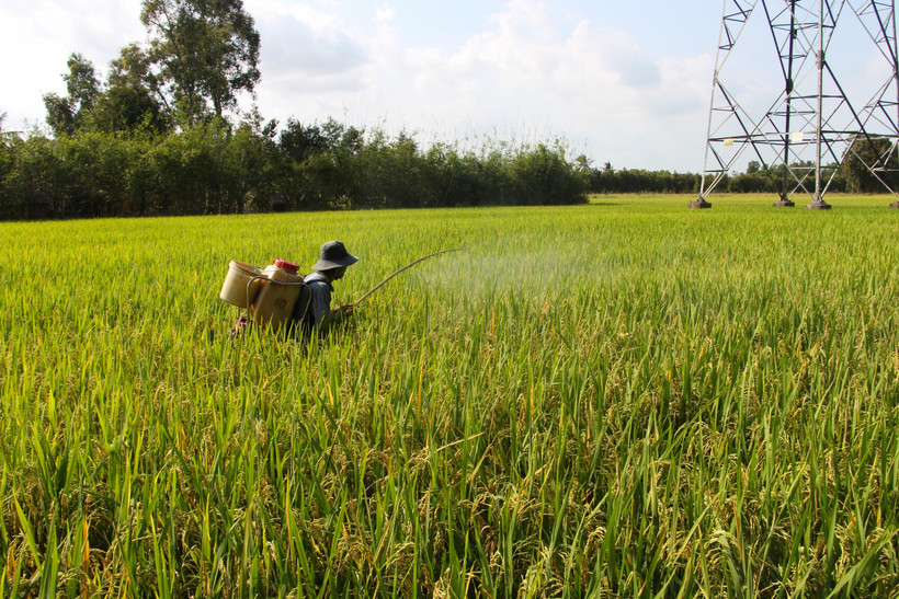 (Ảnh minh họa: Hồng Thái/TTXVN)