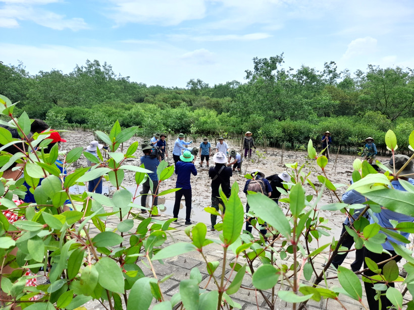 Nỗ lực thích ứng với biến đổi khí hậu. (Ảnh minh họa. Nguồn: Hùng Võ/Vietnam+)