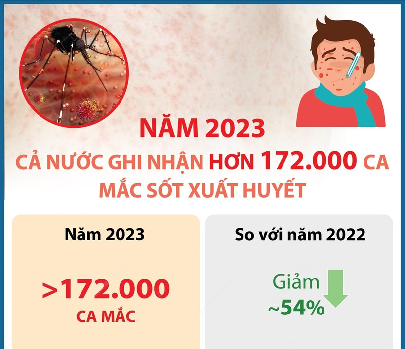 Năm 2023: Số ca mắc sốt xuất huyết giảm nhưng dịch bệnh diễn biến bất thường