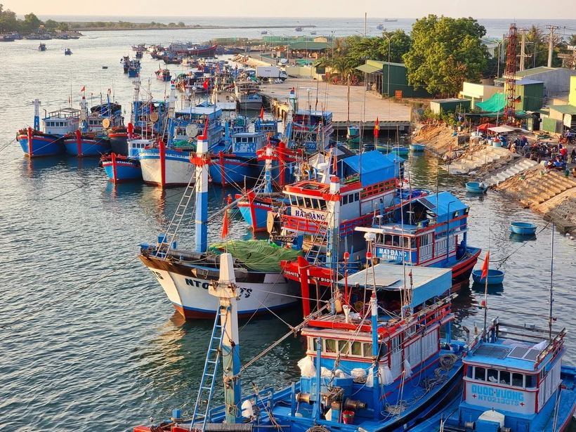 Tỷ lệ tàu cá lắp đặt thiết bị giám sát hành trình của Ninh Thuận đạt 99,7%, trong đó 100% tàu cá từ 24m trở lên. (Ảnh: Nguyễn Thành/TTXVN)