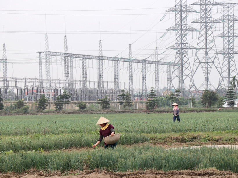 Công tác ứng phó biến đổi khí hậu, tăng trưởng xanh và bền vững cần thiết phải huy động nguồn lực Tài chính Xanh. (Ảnh: Hạnh Nguyễn/Vietnam+)