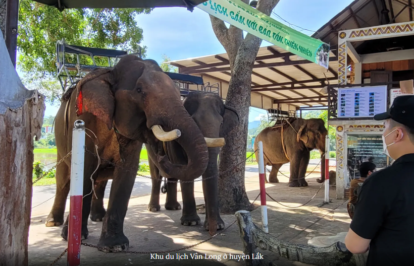 Ảnh minh họa. (Nguồn: PV/Vietnam+)