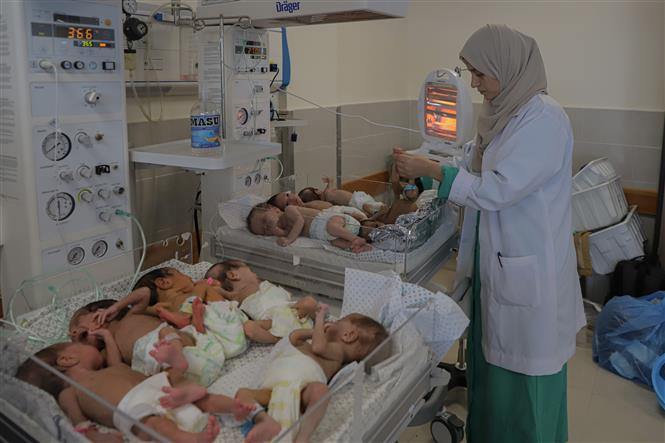 Nhân viên y tế chăm sóc các em bé sinh non được sơ tán từ bệnh viện Al Shifa tới bệnh viện ở Rafah, Dải Gaza, ngày 19/11/2023. (Ảnh: THX/TTXVN)