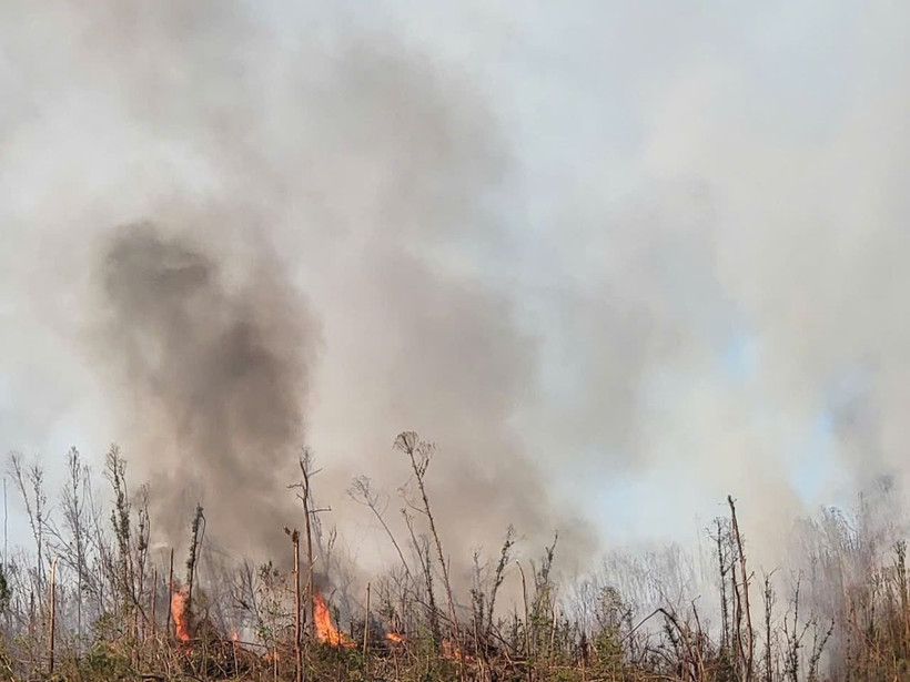 Đám cháy bùng phát tại khu vực rừng bạch đàn thôn Cống Đông, xã Thắng Lợi chiều 3/10. (Ảnh: Bùi Sơn/TTXVN phát)
