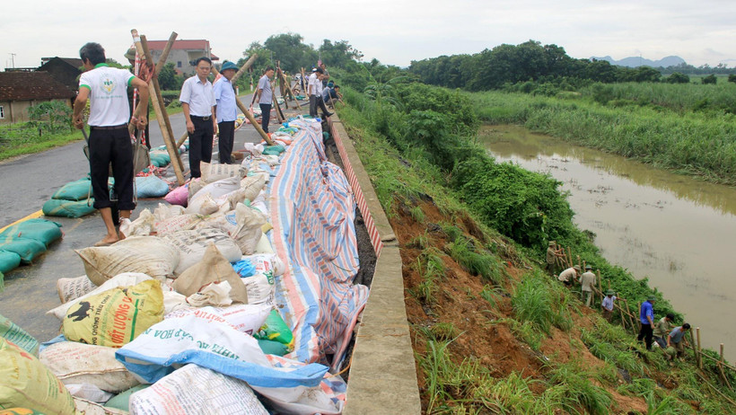 Các lực lượng gia cố tạm điểm sạt trên đê hữu sông Chu qua xã Thọ Hải, huyện Thọ Xuân. (Ảnh: Nguyễn Nam/TTXVN)