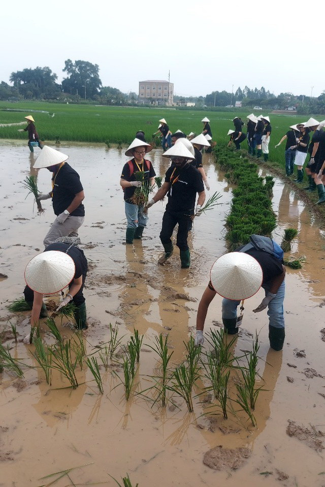 Một ngày làm nông dân ở Làng cổ Đường Lâm 